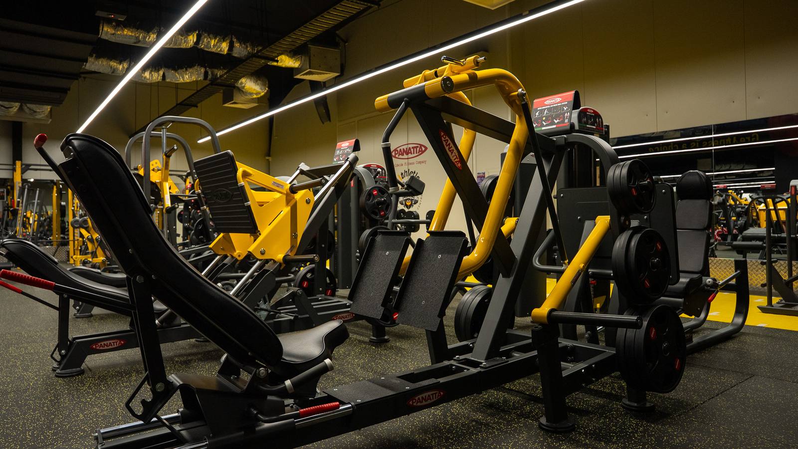 Panatta strength machines on the Athletic Gym floor