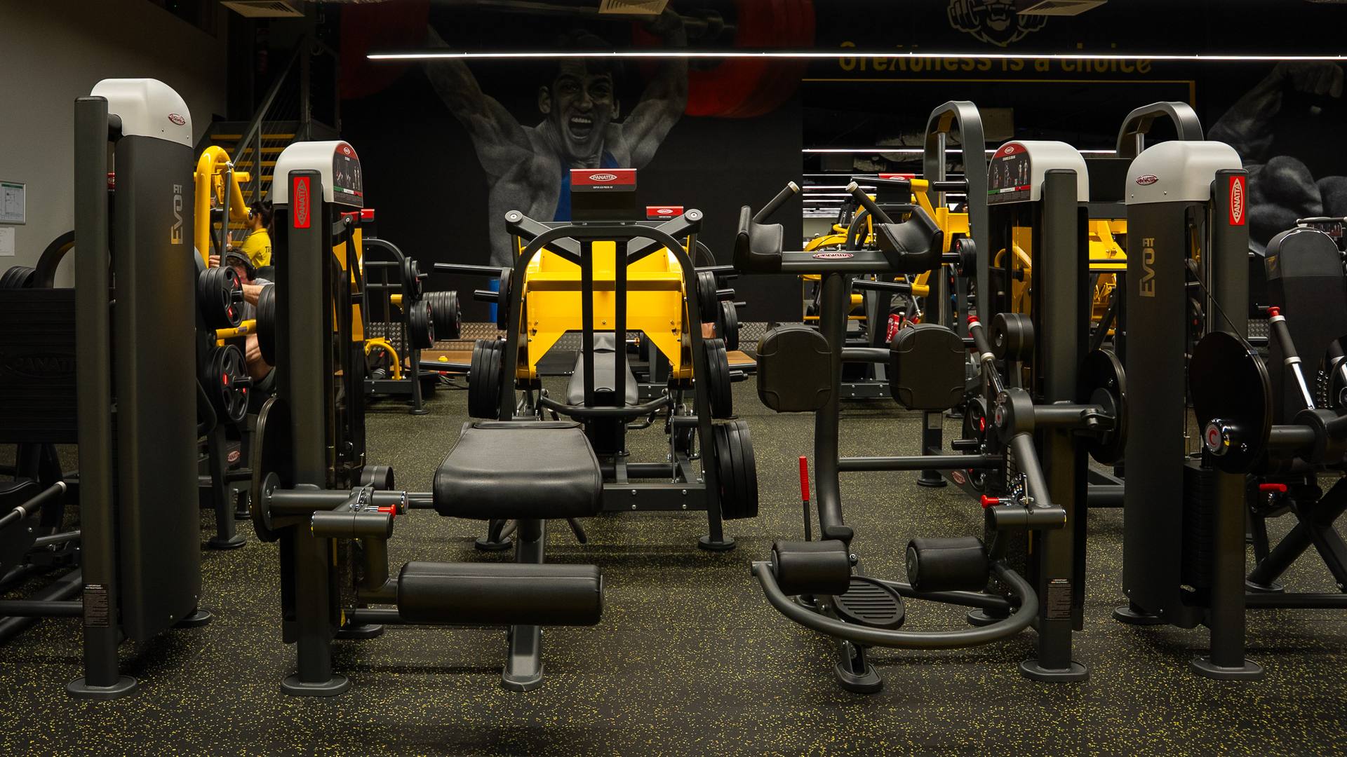 Athletic Gym training floor
